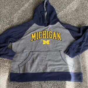 Pro Edge Navy and Gray Michigan Hoodie